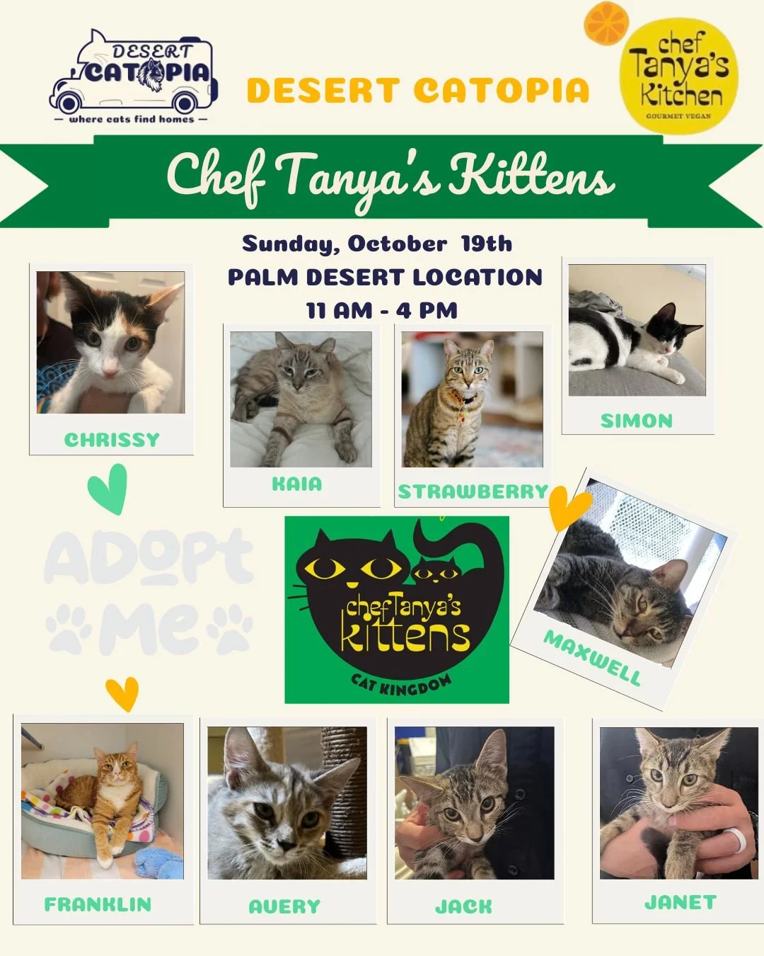 🐾 This Sunday!
Desert Catopia is teaming up once again with Chef Tanya’s Kitchen (@cheftanyaskitchen) in Palm Desert for another cat adoption event! ✨
📅 Sunday, October 19th
🕚 11:00 AM – 4:00 PM
📍 Chef Tanya’s Kitchen
72695 CA-1