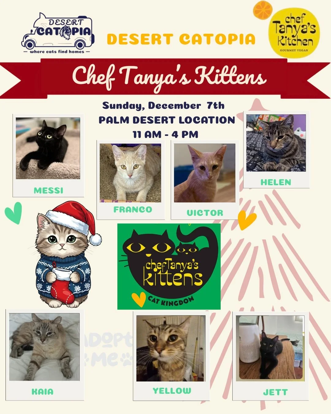Home for the Holidays Adoption Event ✨TODAY!!!
Hosted by Desert Catopia x Chef Tanya&rsquo;s Kitchen (@cheftanyaskitchen)
📅 Sunday, December 7
⏰ 11:00 AM &ndash; 4:00 PM
📍 Chef Tanya&rsquo;s Kitchen
72695 CA-111, Unit A6, Palm Desert, CA 92260
The 