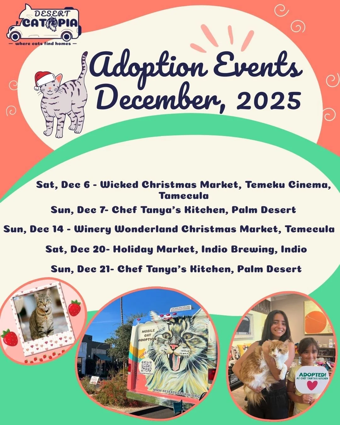 Adoption Events Update!
We&rsquo;re adding TWO more Desert Catopia Bus adoption events before the holidays!
Thank you @girlsdayoutmarket and @indio_brewing for inviting us and giving our cats another chance to find their people this season.
🐾 Decemb