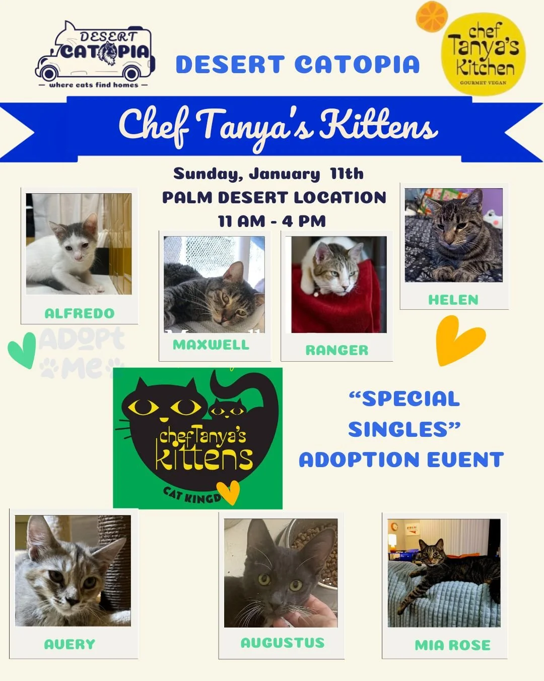 Special Singles Adoption Event ✨
Hosted by Desert Catopia x Chef Tanya&rsquo;s Kitchen (@cheftanyaskitchen)
📅 Sunday, January 11
⏰ 11:00 AM &ndash; 4:00 PM
📍 Chef Tanya&rsquo;s Kitchen
72695 CA-111, Unit A6, Palm Desert, CA 92260
These cats didn&rs