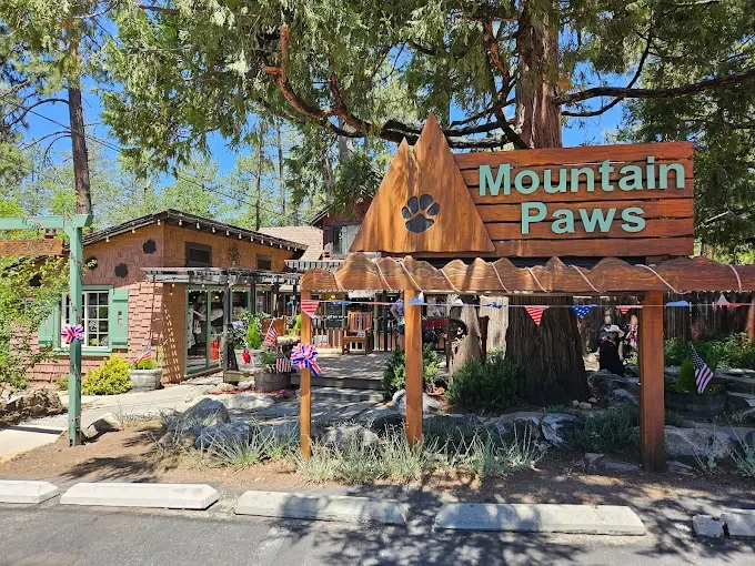 Summer in  Idyllwild 