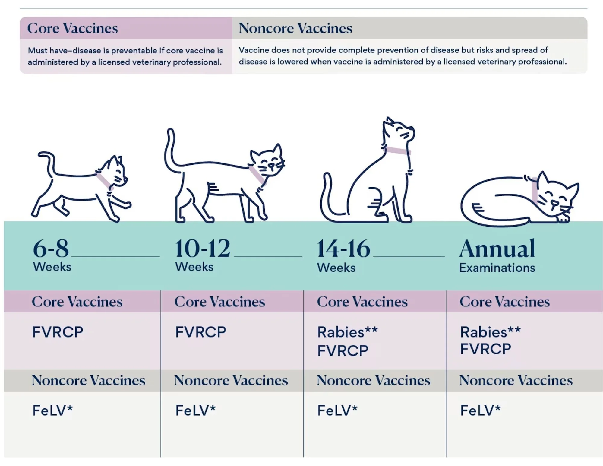The Essential Guide to Cat Vaccinations — desertcatopia.org