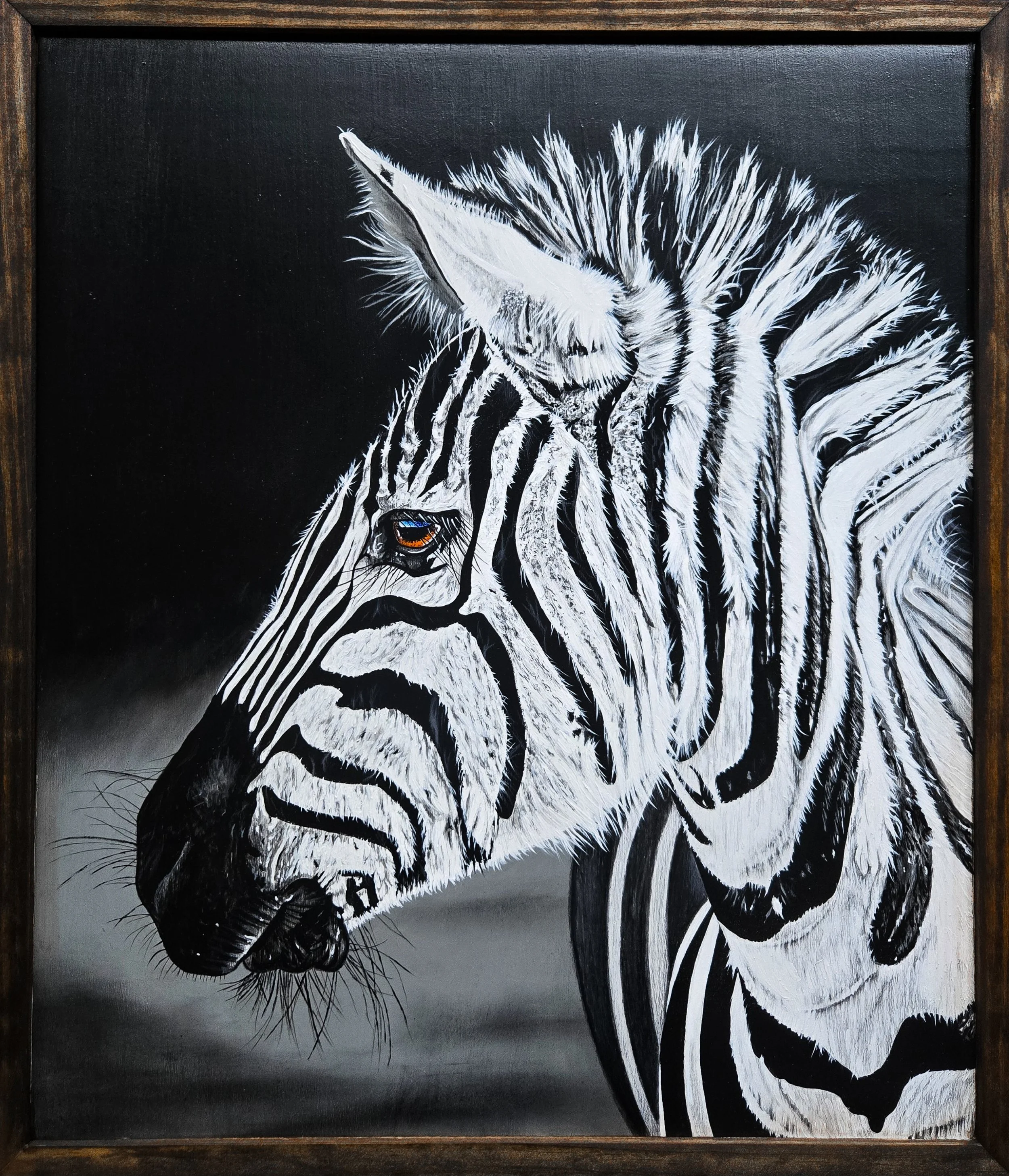 Zebra, fine art painting by Nate Doucette, zebra portrait on birch wood, 26 x 22 inches
