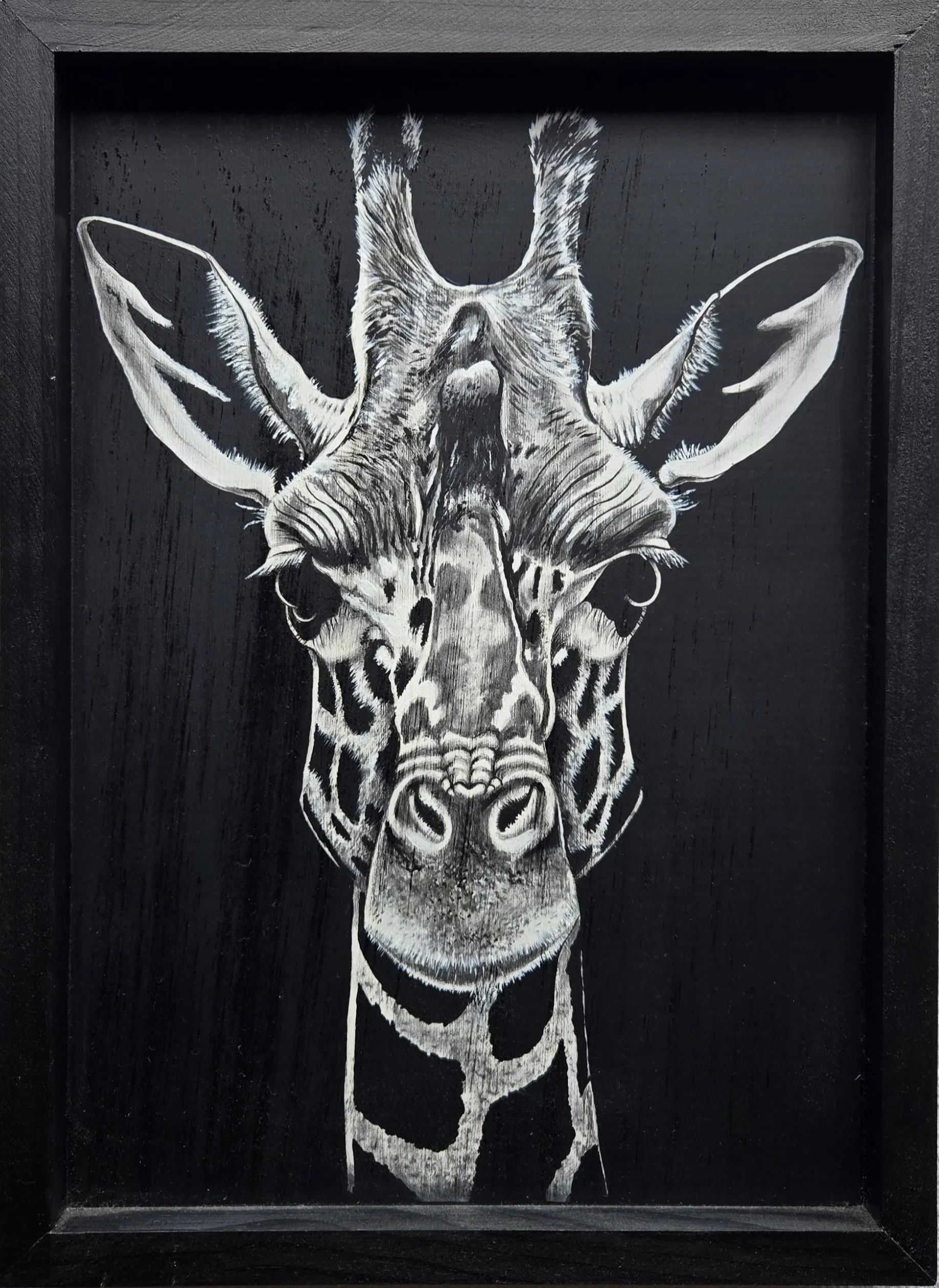 Giraffe, fine art painting by Nate Doucette, giraffe portrait on birch wood, 18 x 13 inches