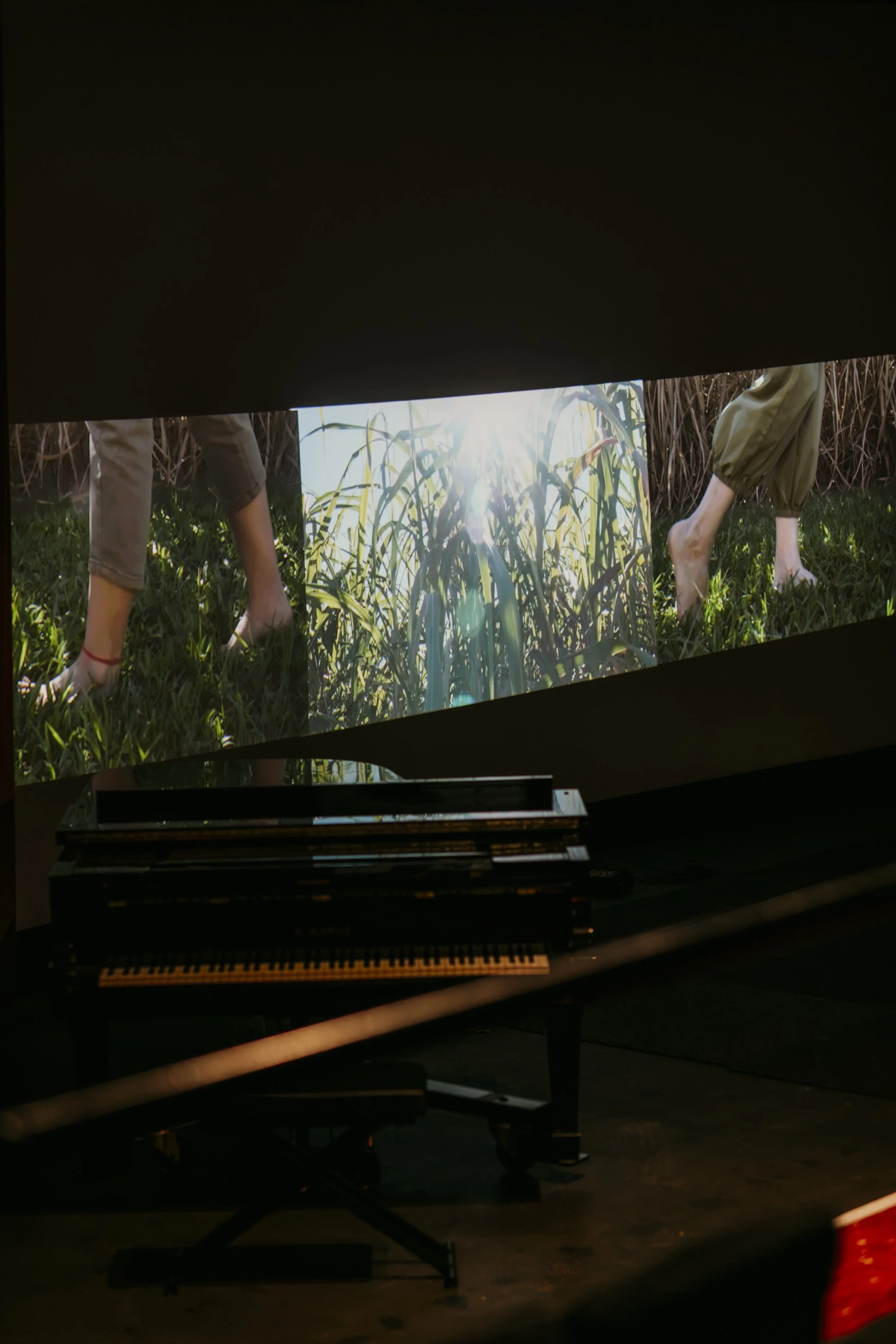 LAVA2026-TheMoundCollective-ArtistGroup-Video Projection_title, Field Walk-2026.jpg