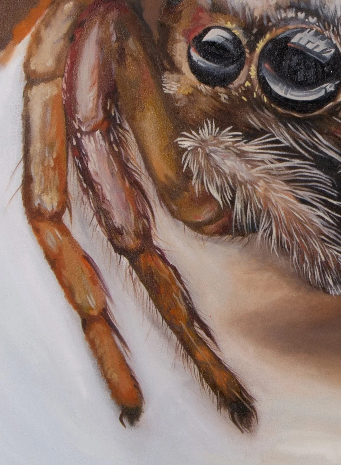 Promising Future legs 2.jpg