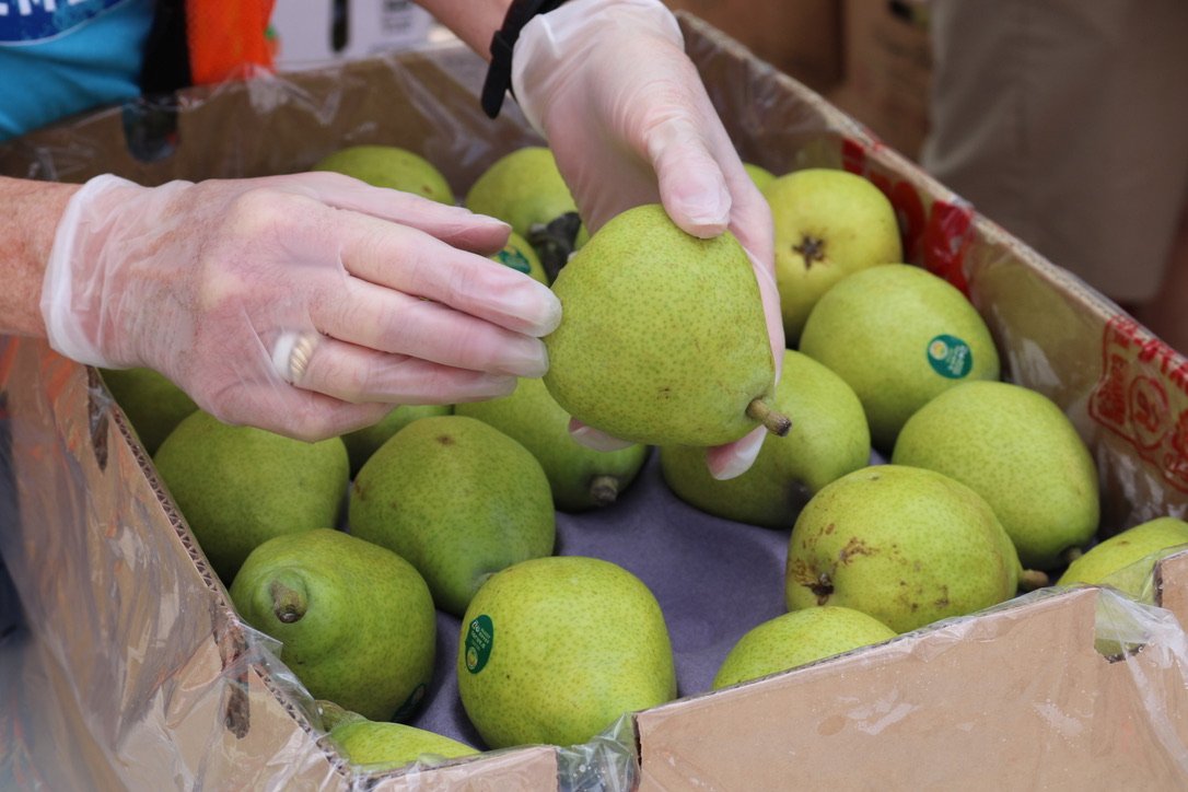 Food, Power, and Politics:&nbsp;The Colonial and Modern Weaponization of Hunger