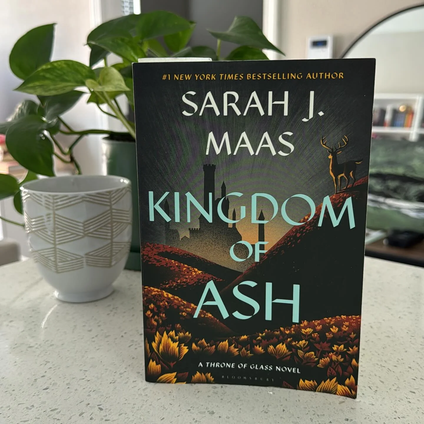 It&rsquo;s finally here. The end to an era. 😩

I&rsquo;ve finally picked up Kingdom of Ash and I&rsquo;m not ready. This is the 3rd or 4th time I&rsquo;ve picked it up to try and finish the series, and this time I&rsquo;m doing it!

To all my fellow