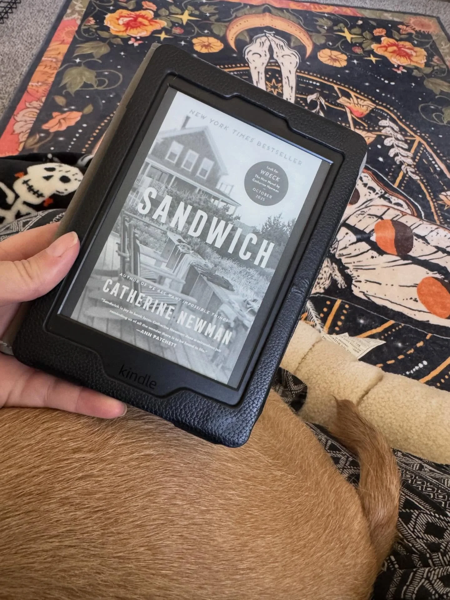 Just my Velcro dog + a book 📖

#currentread #sandwichwreck #catherinenewman #marchbookrecs #radbookhaus