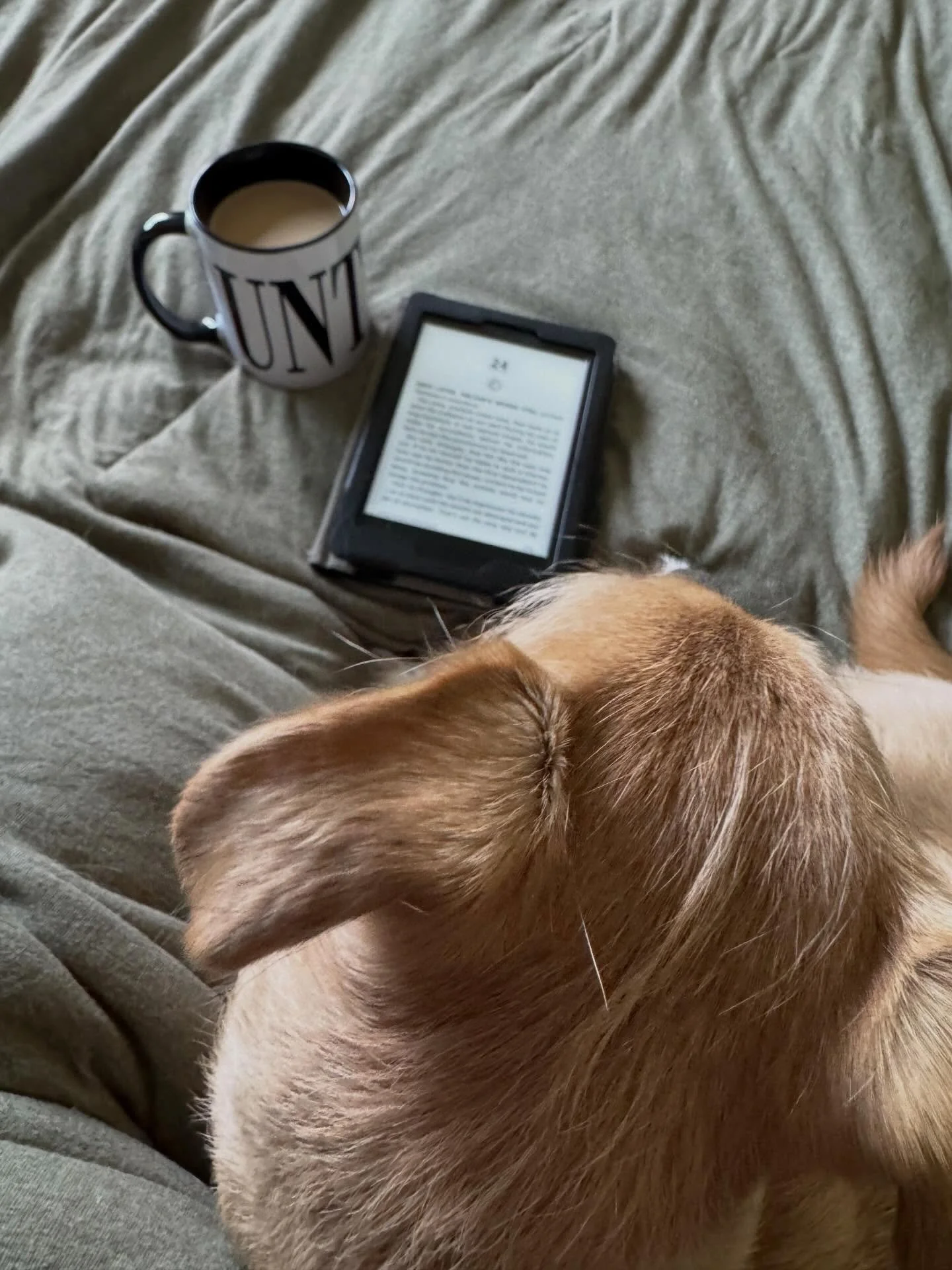 Lazy Sundays are the best ☀️

📖 The Hero of Ages (I&rsquo;m behind in my own book club 😬)

#lazysunday #currentlyreading #brandonsanderson #theheroofages #bookclubpick