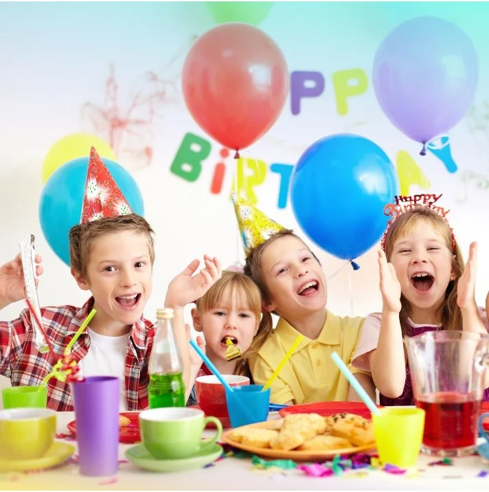 Top Birthday Party Venue Near Hoppers Crossing Indoor Play Centre