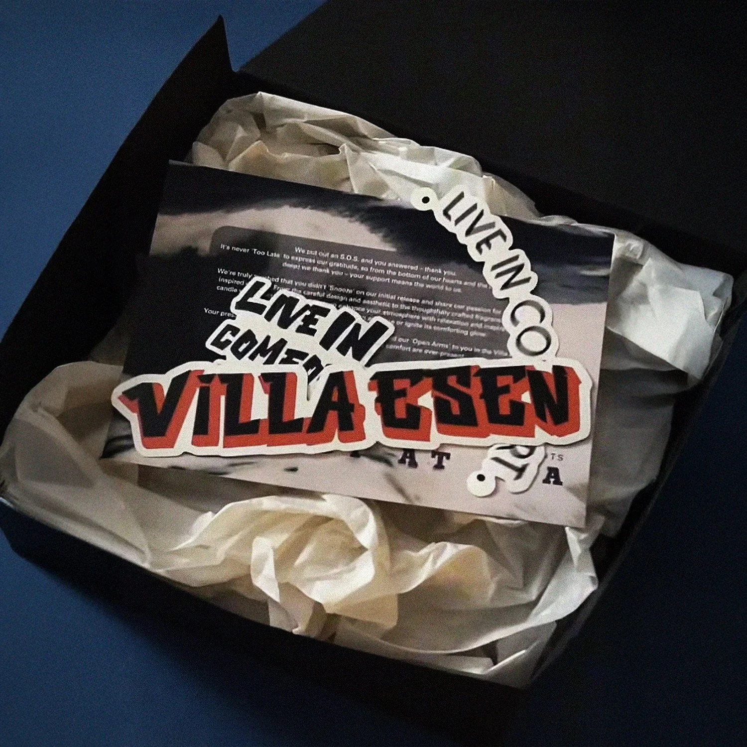 VE Brand Assets Design