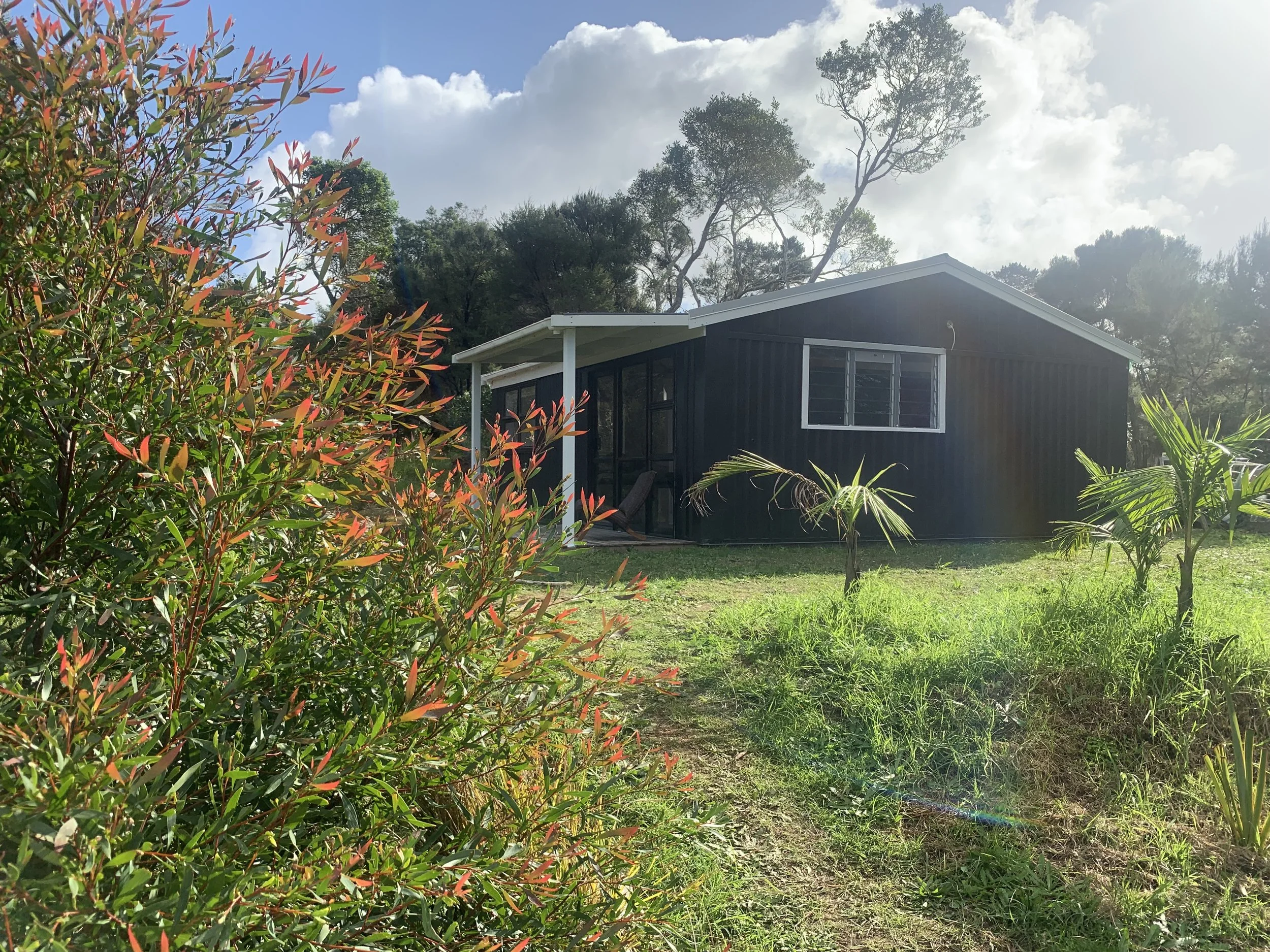 A herbal medicine clinic, surrounded by green grass and plants.