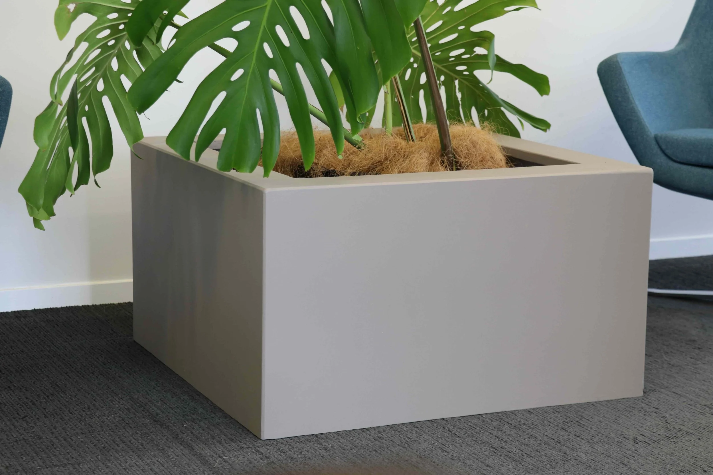 Low square planter.jpeg