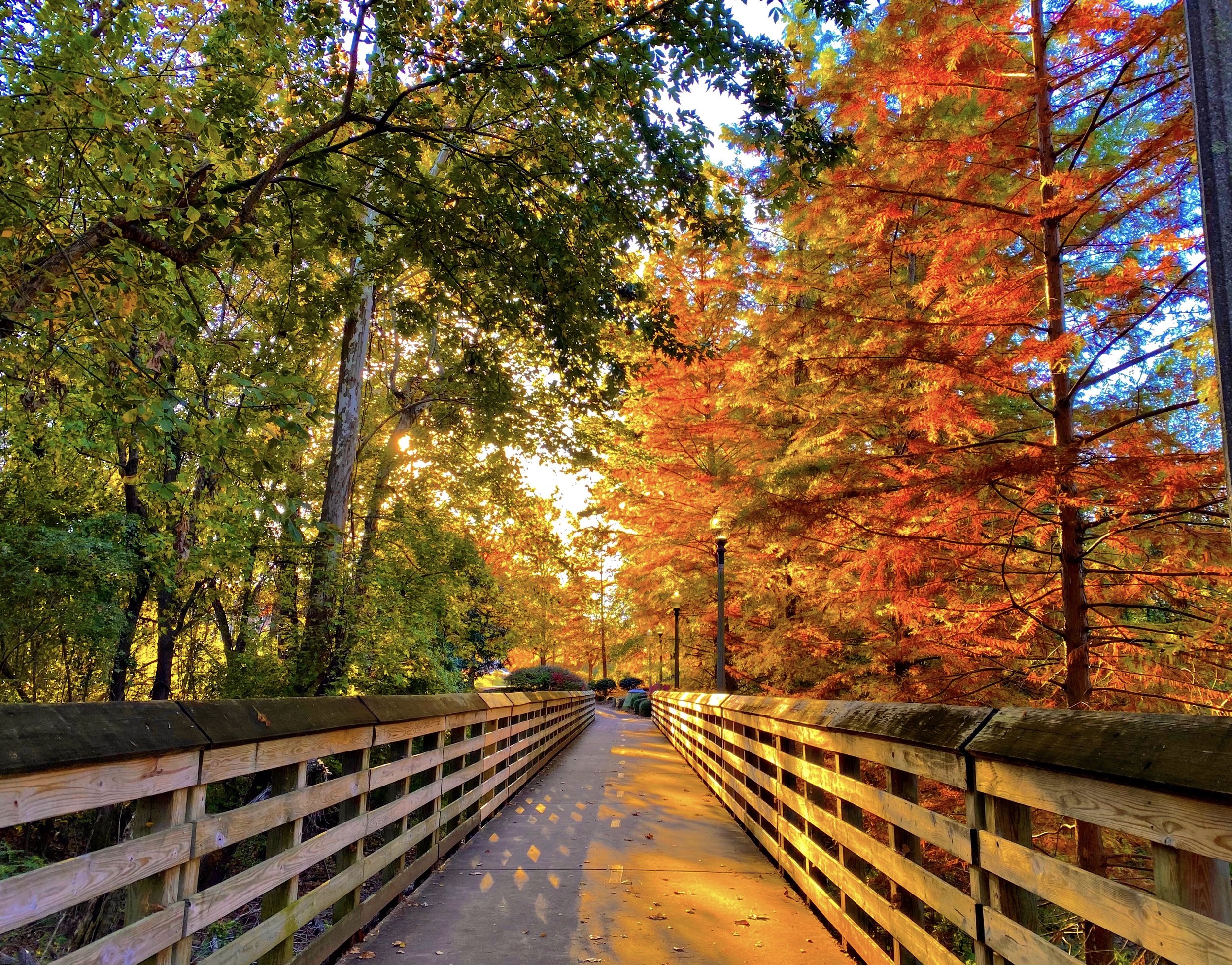 Fall Riverwalk.jpg