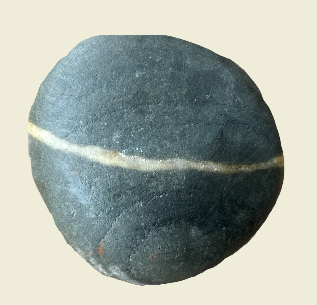 𓆸