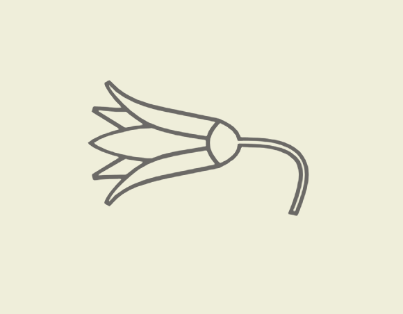 𓆸