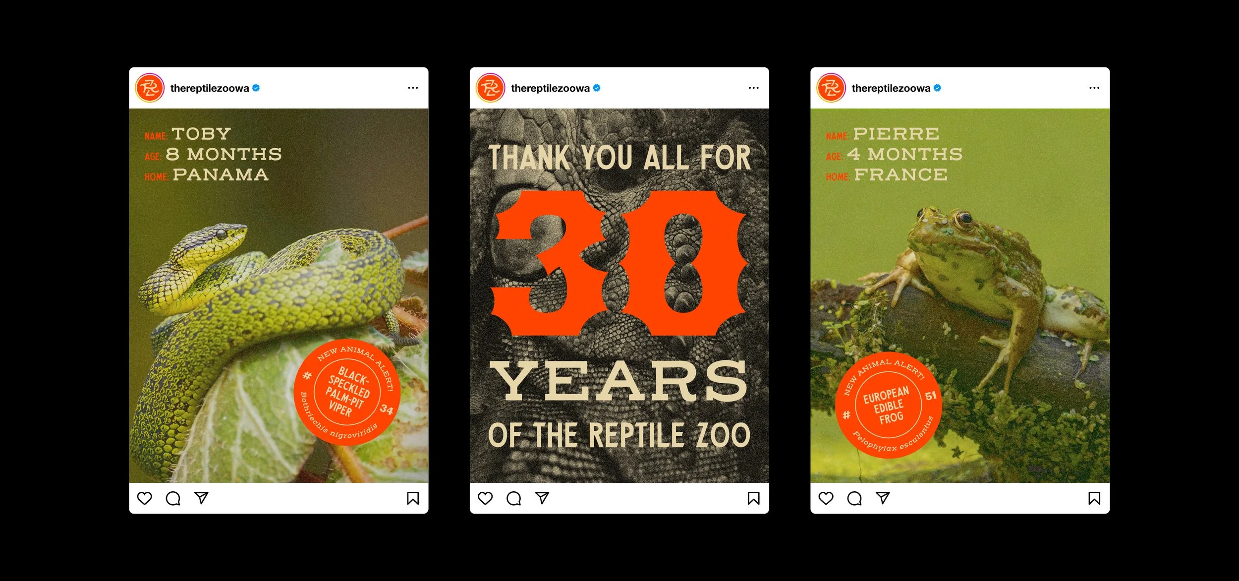 483_RZ_Socials_2026.04.22 (1).jpg