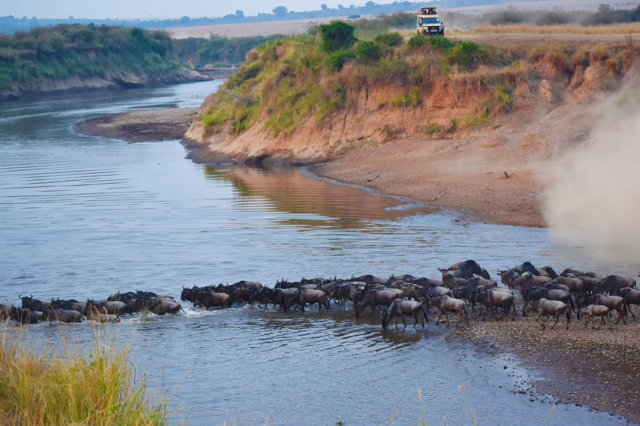 Wildlife - Wildbeest Migration-2.jpeg