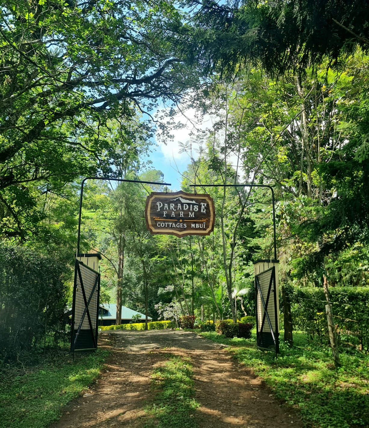 entrance.jpeg