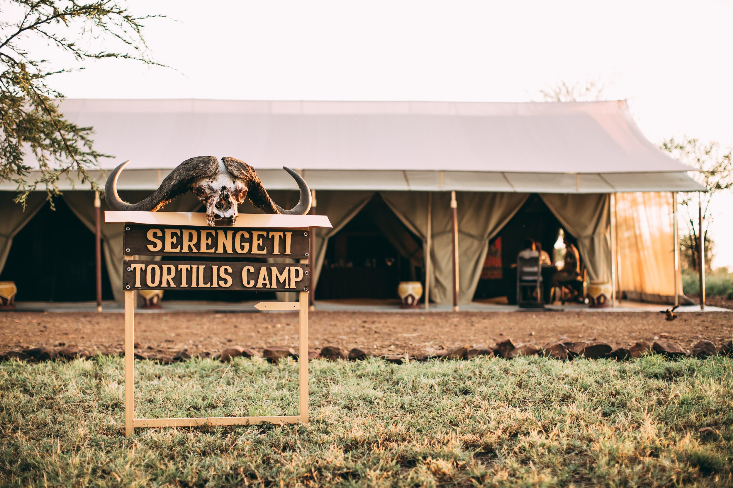 Serengeti Tortilis Camp - Sign Board.jpg