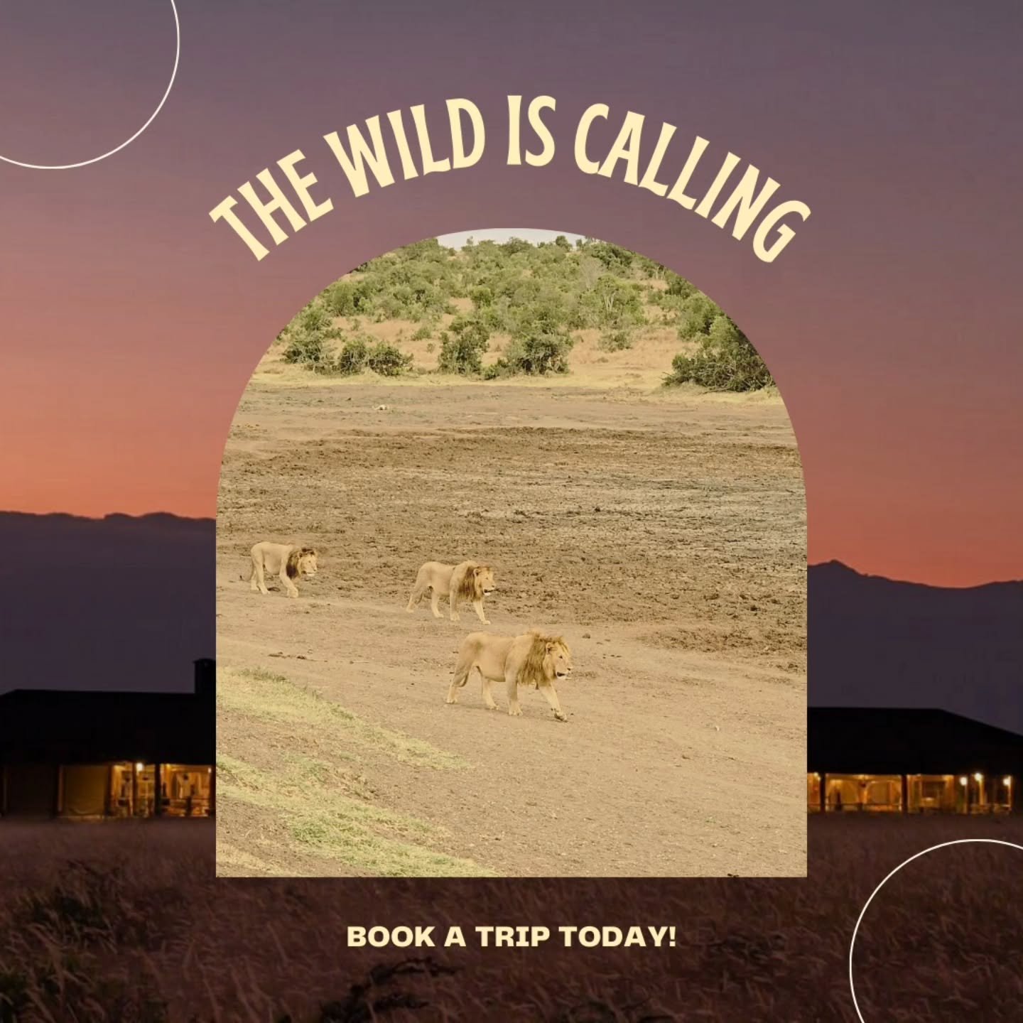 Honestly, it's always calling. But no time like the present to travel into the wild. Ol Pejeta looks pretty good at the moment 👀👀.
.
.
.
.
#WildlifeSafari #safari #explore #Kenya #time