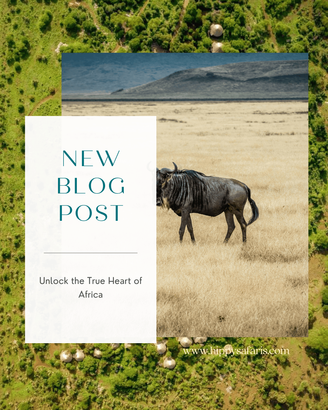 Tips to Max Out the Value of Your Safari: Unlock the True Heart of Africa