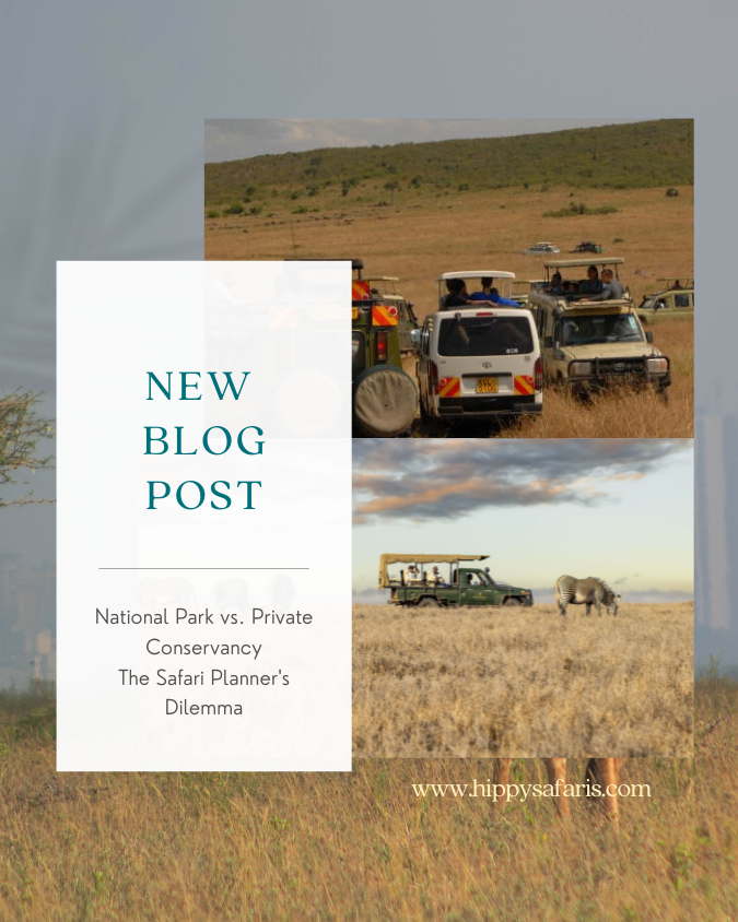 The Safari Planner's Dilemma: National Park vs. Private Conservancy — What's the Right Choice for You?