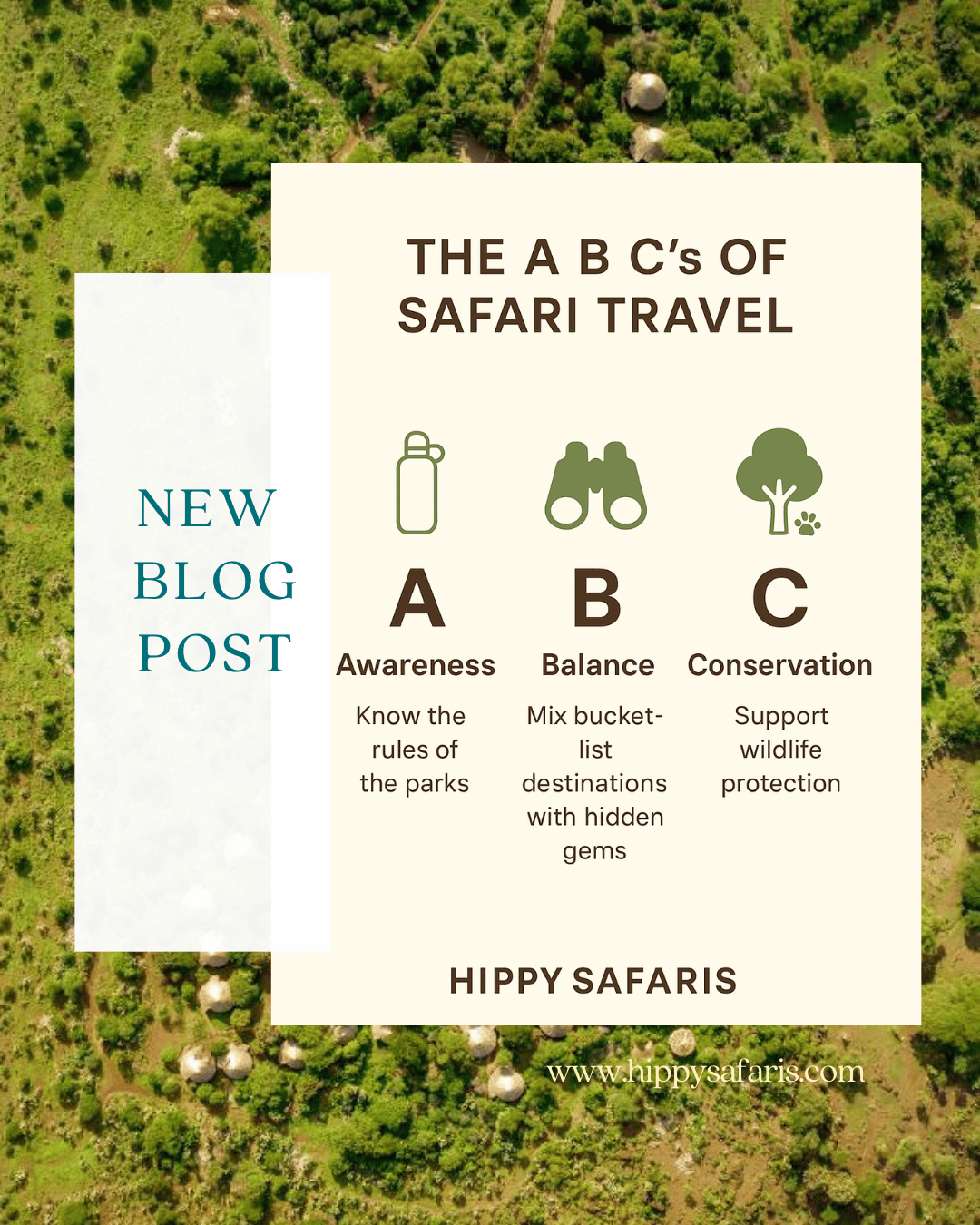 🌿 The A B C’s of Safari Travel