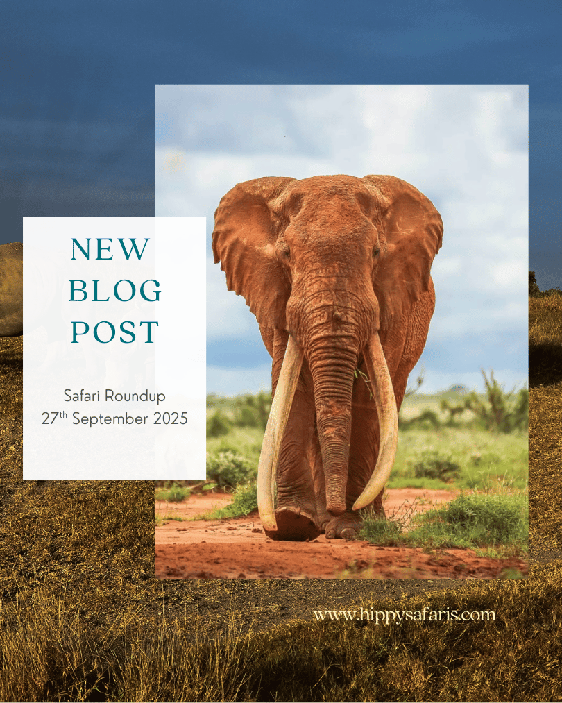 Safari Review: The Week Kenya Doubled Down on Ethical Tourism