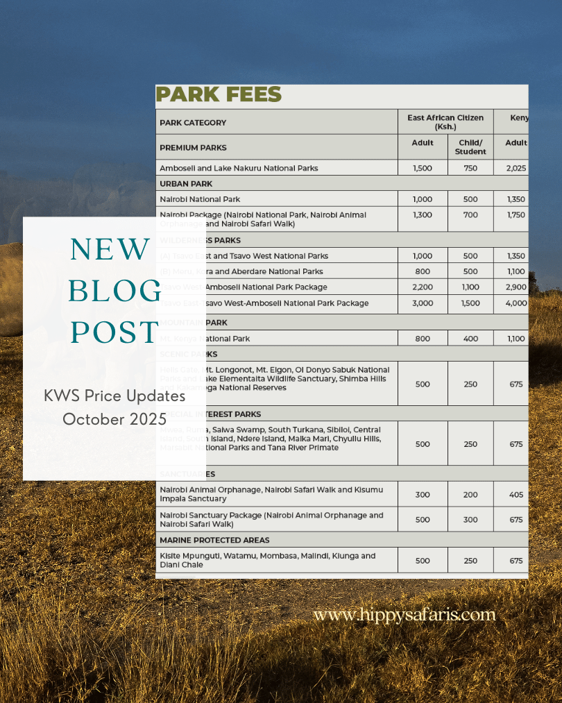 KWS Park Fee Increase: Why This Is A Postitive Signal.