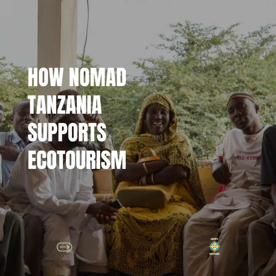 Every year, @nomadtanzania staff commit themselves to not only delivering great service but also taking part in training programs to learn and improve for themselves and the community.

Today, we spotlight some of our favourite highlights from Nomad'