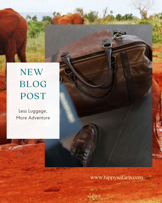 The Minimalist's Safari Pack Less Luggage, More Adventure