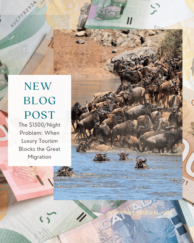 The $1500/Night Problem: When Luxury Tourism Blocks the Great Migration