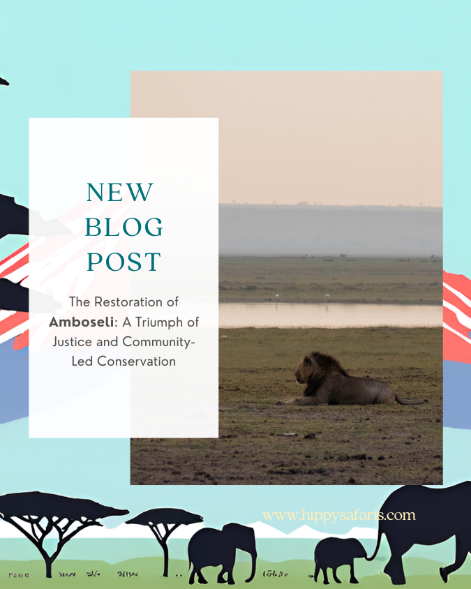 The Restoration of Amboseli: A Triumph of Justice and Community-Led Conservation