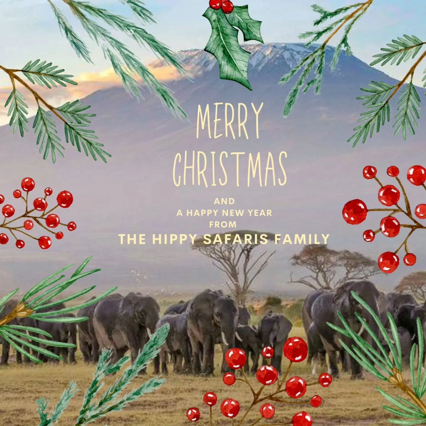 Happy holidays from our little Family, Christmas can look diffrent all around the world!