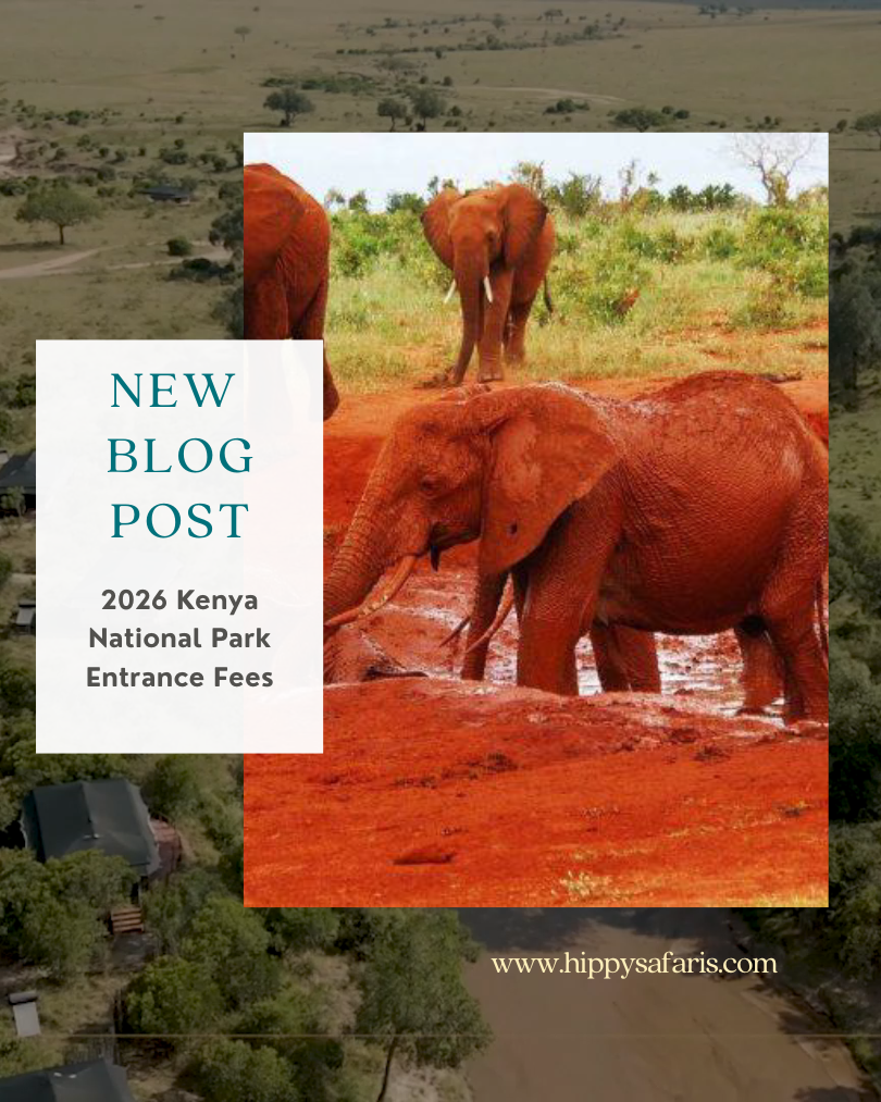 2026 Kenya Park Fees' 