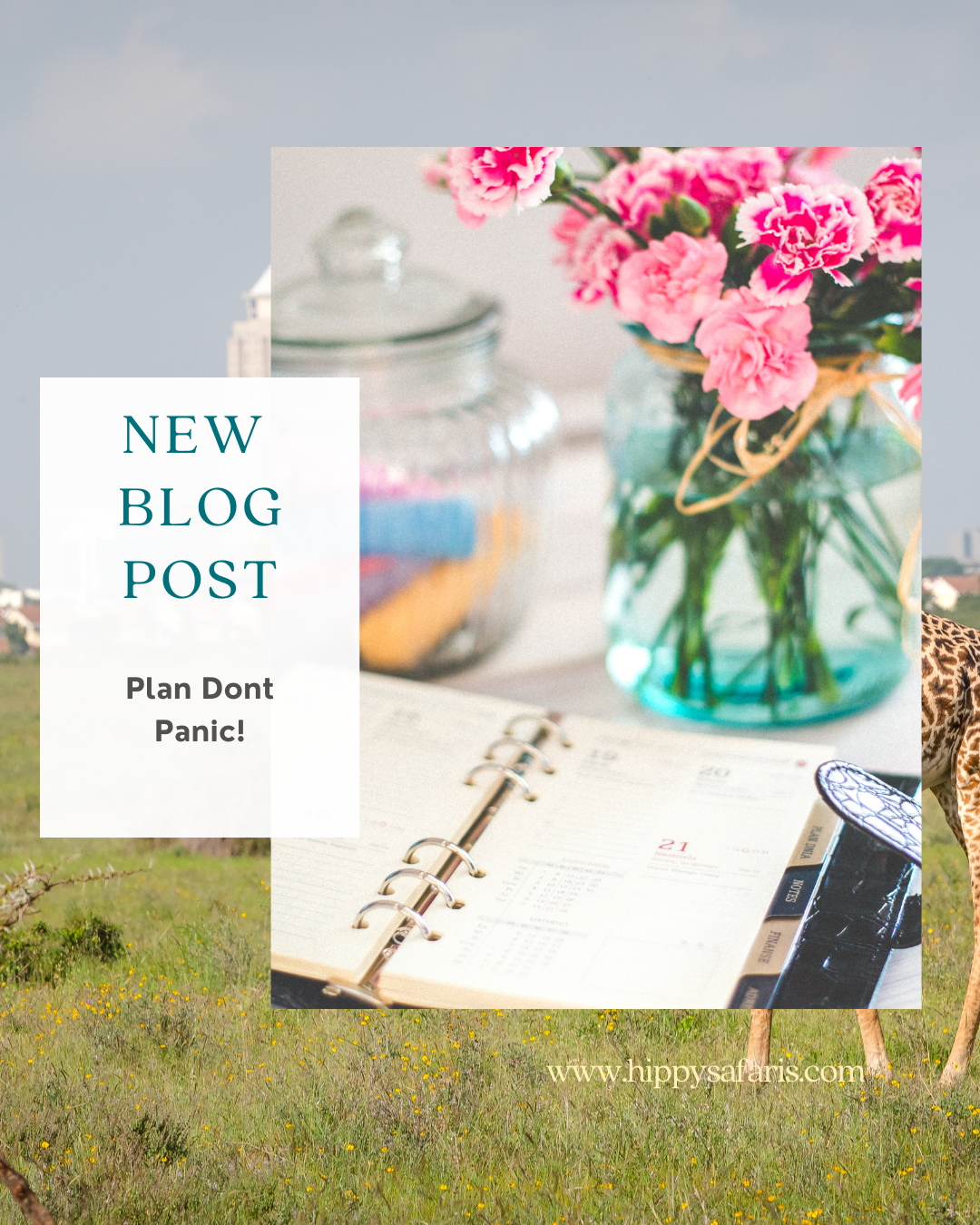 Planning Without the Panic: How to Actually Enjoy Booking Your Safari