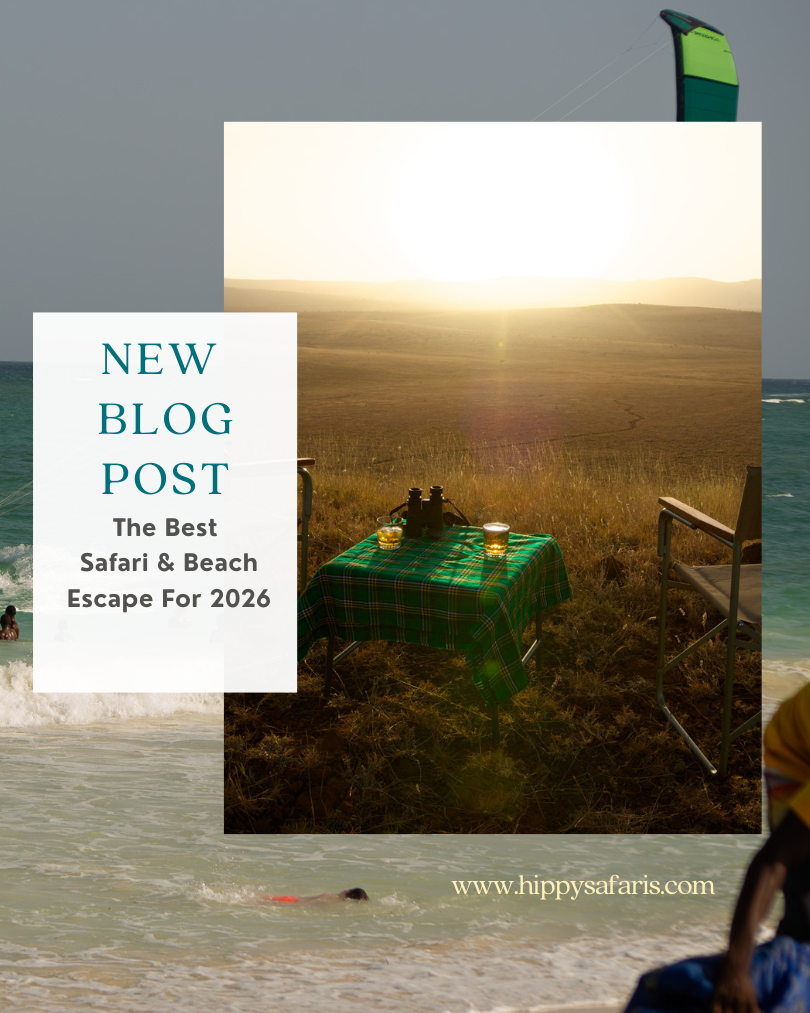 Safari and Sea: The Ultimate 2026 Kenyan Escape