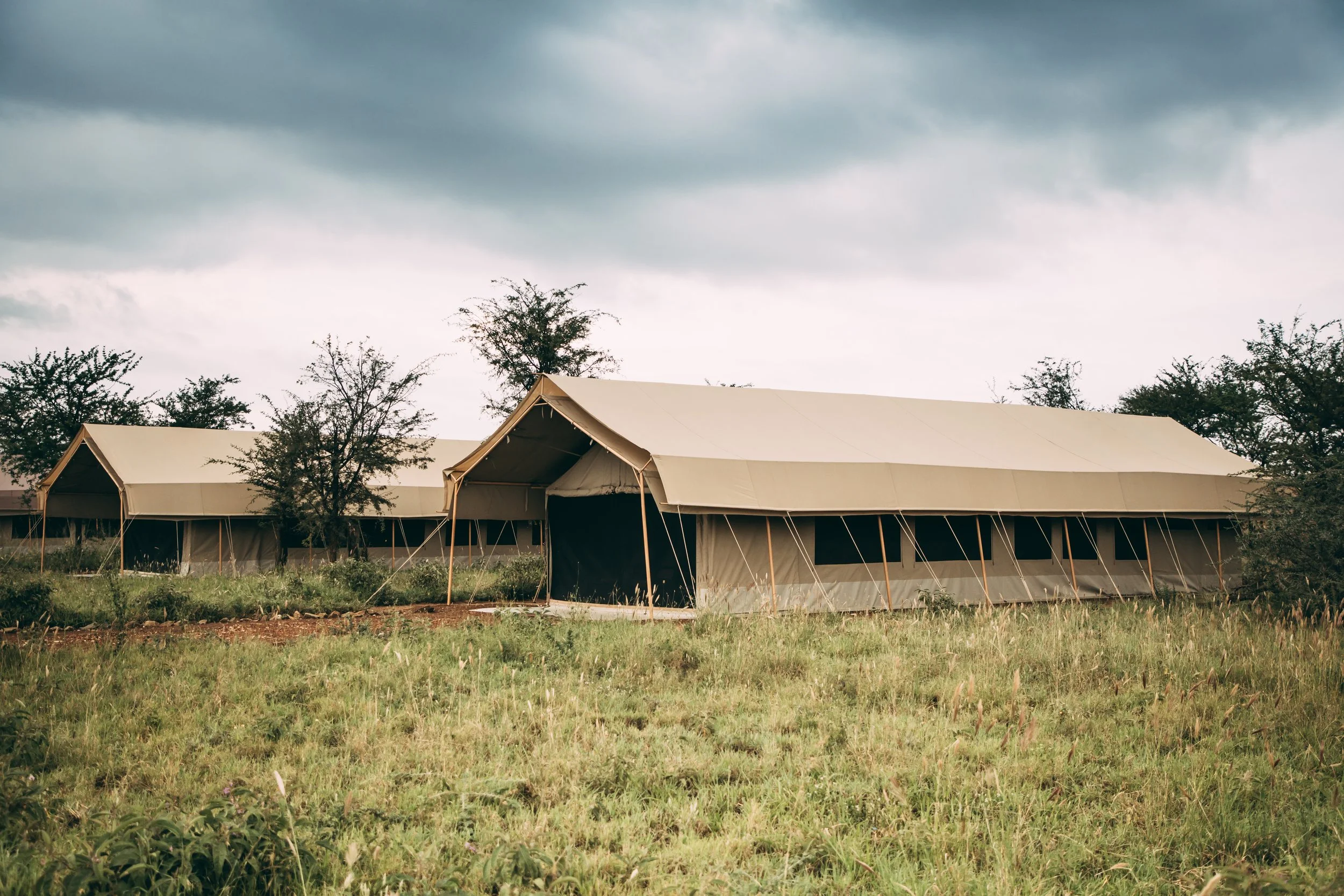 Tents at Serengeti Tortilis Camp.jpg