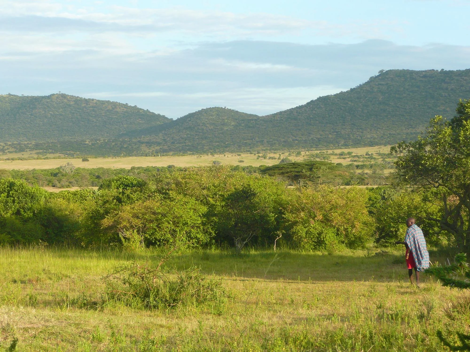 simba-oryx-nature-camp (3).jpg