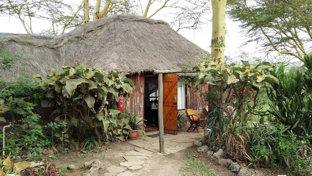swara-plains-acacia-camp.jpg