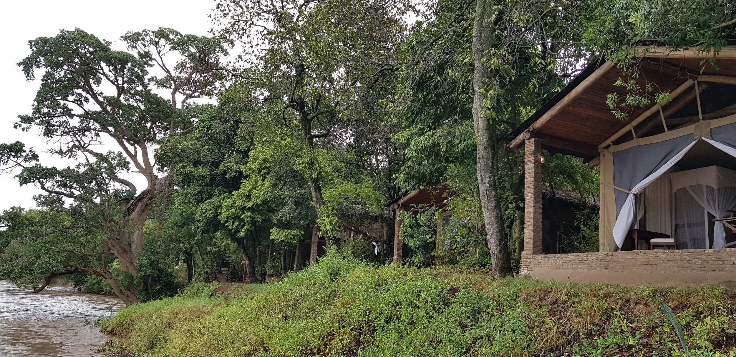 Fig Tree Camp-Masai Mara - 7.jpg