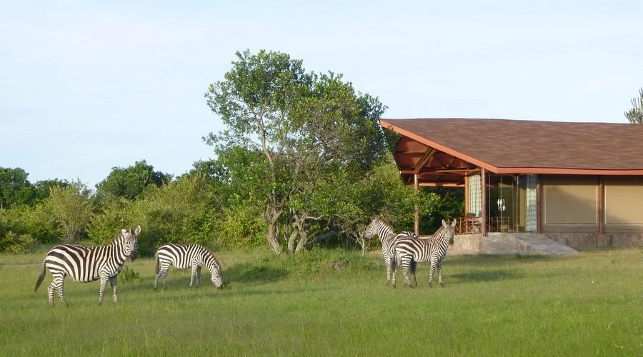 wildlife-at-your-doorstep.jpg