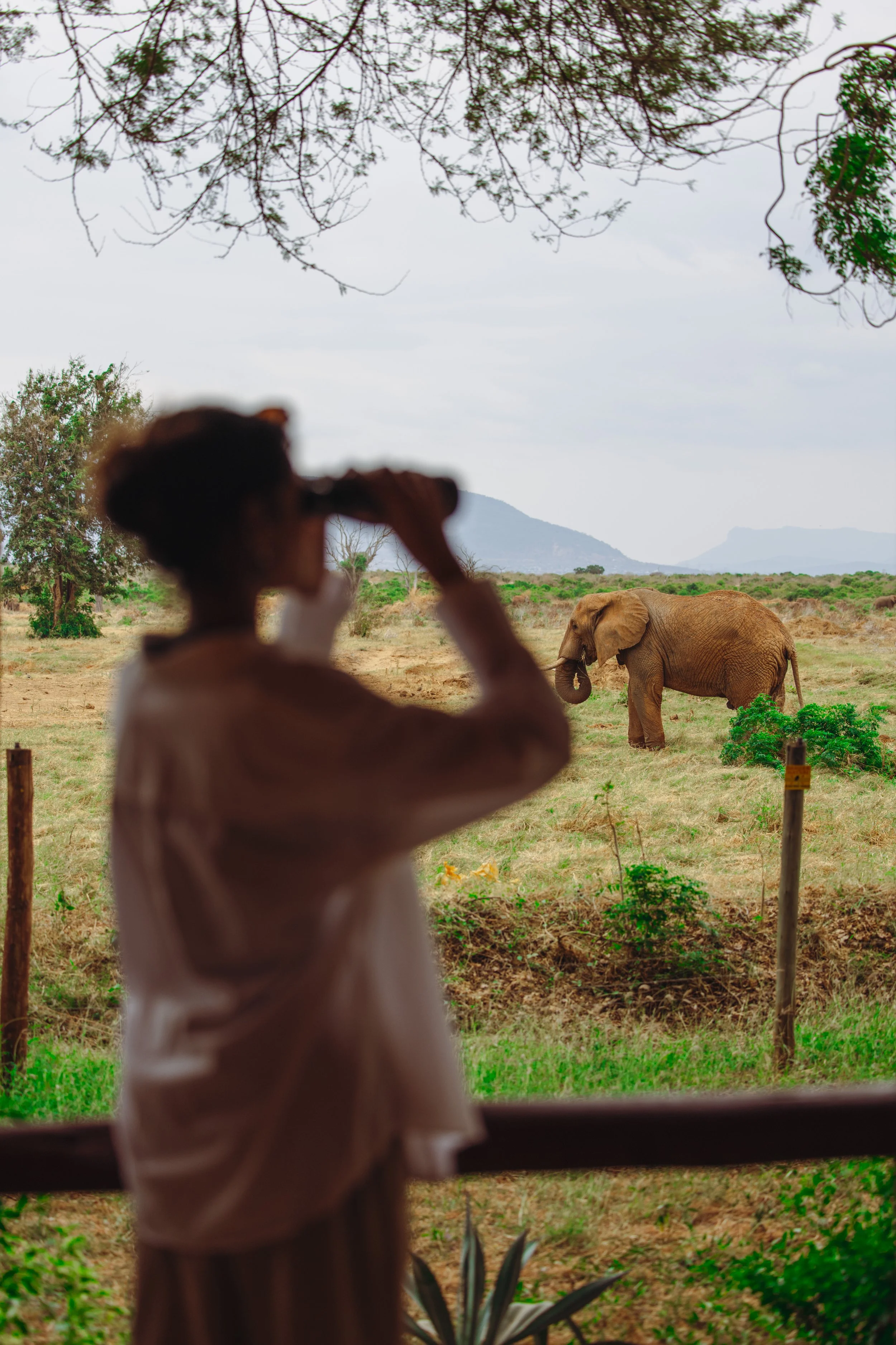 Sentrim Tsavo Room .jpg