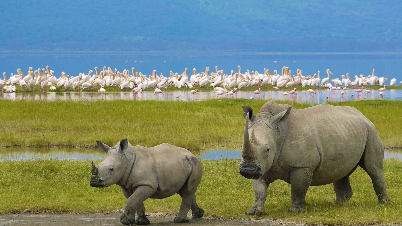 nakuru-national-park.jpg