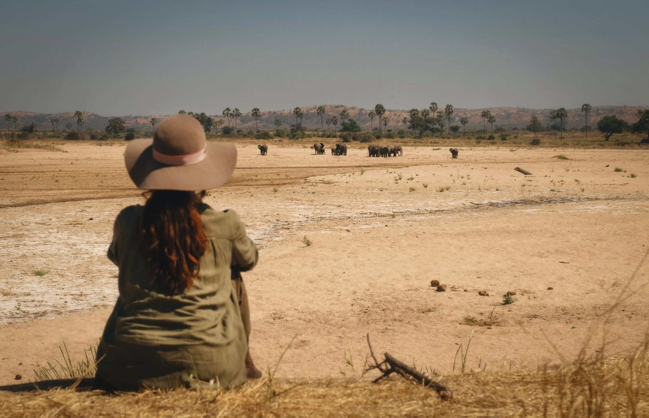 Dry riverbeds and elephants in Ruaha-Original.jpg