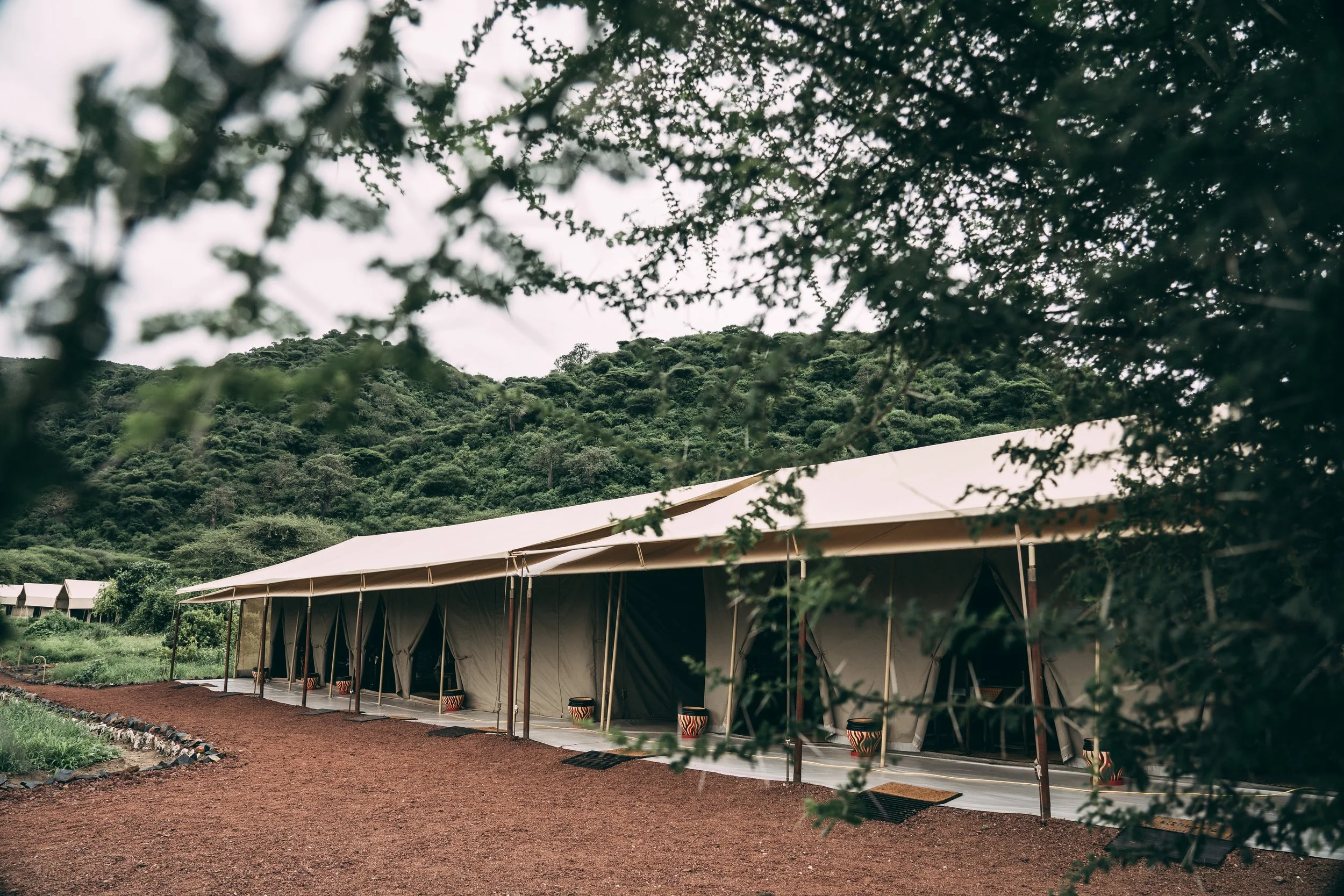 Bar, Lounge and Dinning Tent.jpg
