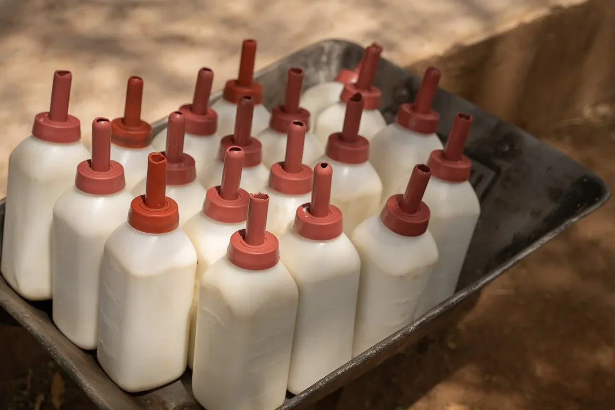 Reteti+_+Milk+bottles.webp