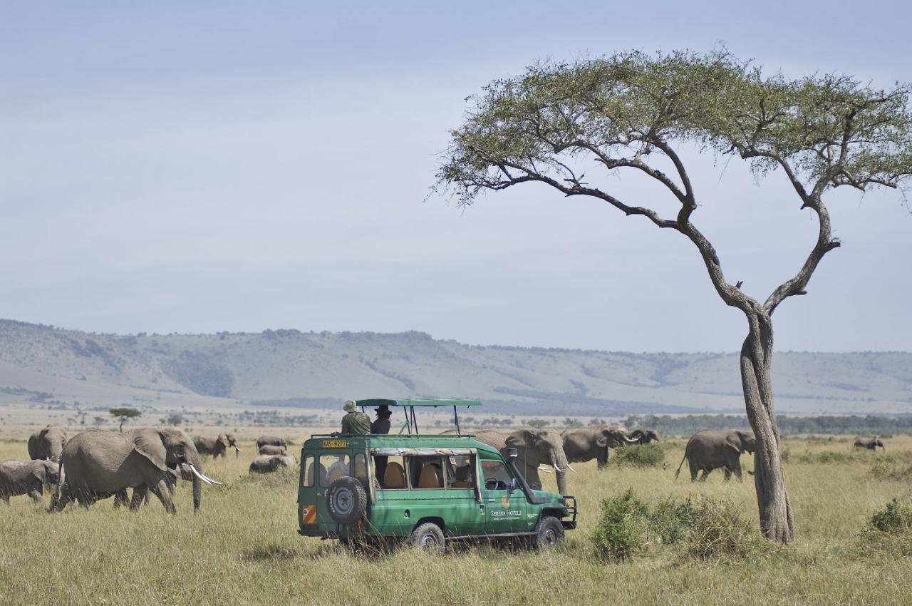 Game Drive.jpg